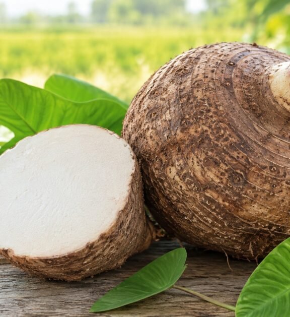 Fresh, naturally sourced tubers selected for export-quality supply.